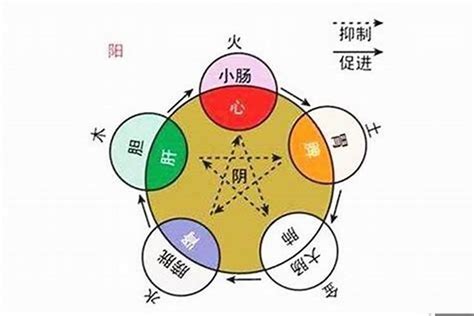 张字五行|“张”的五行属性